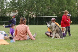 Tournoi - de 7ans