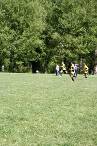 IMG_4716